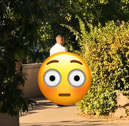 asdsadmkladsmkl